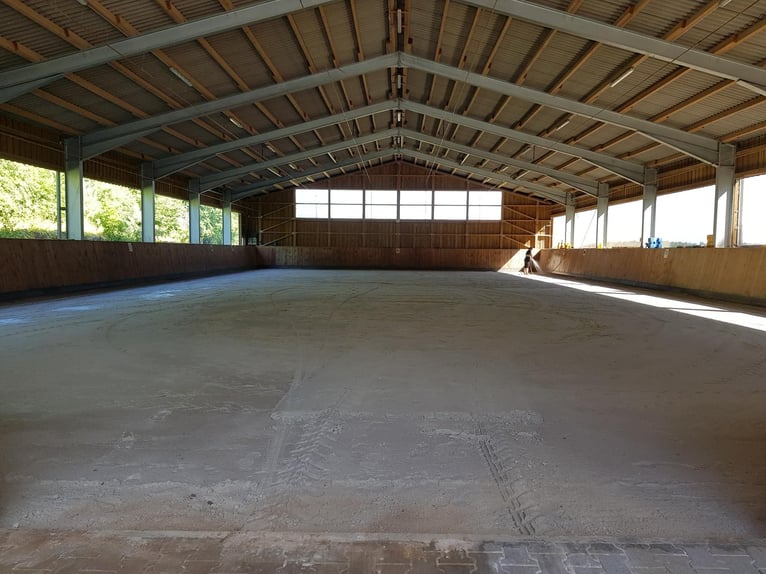 1 Offenstallplatz in Künzell ab April frei I Reithalle vorhanden