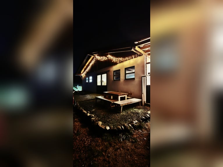 2 wolne miejsca w stajni dla koni alergików lub starszych (kucyki)