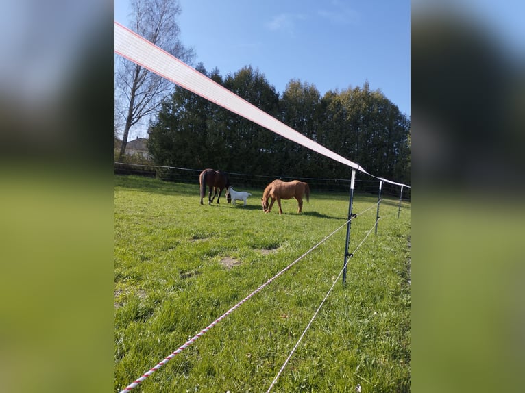 3 Plätze ab Juli frei 
