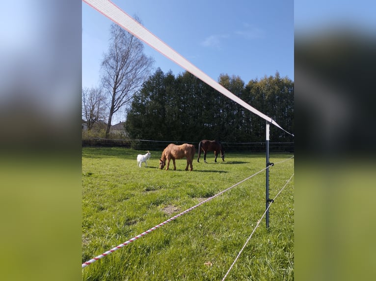 3 Plätze ab Juli frei 