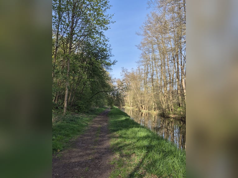 Biete Paddock / Offenstall Einstellplatz