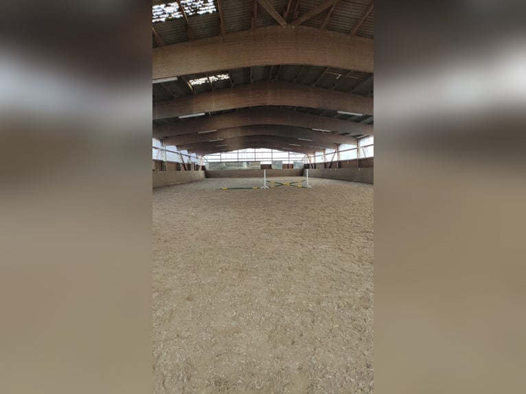 Biete Paddock / Offenstall Einstellplatz