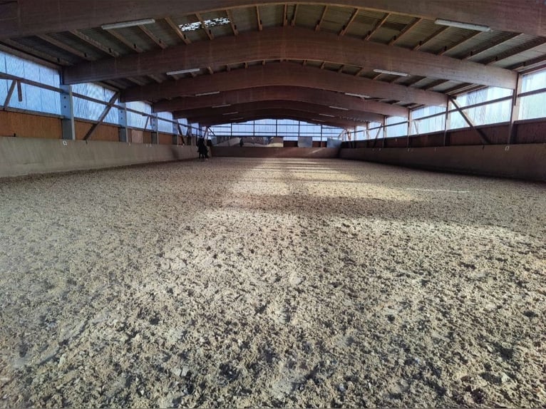 Biete Paddock / Offenstall Einstellplatz