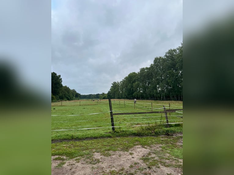 Miejsce w wolnym boksie
