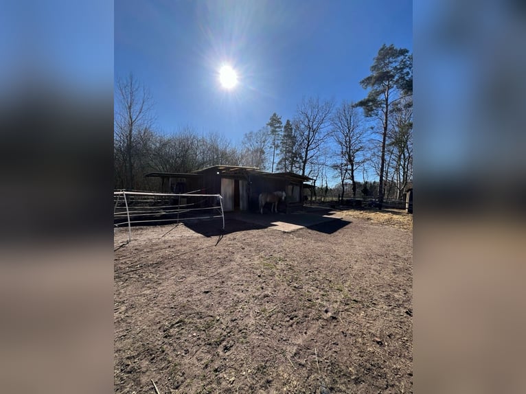 Miejsce w wolnym boksie