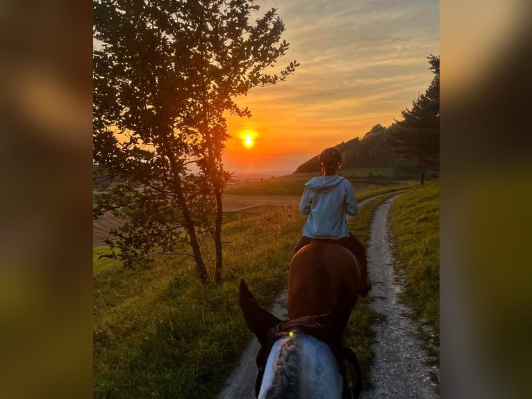 Miejsce w wolnym boksie