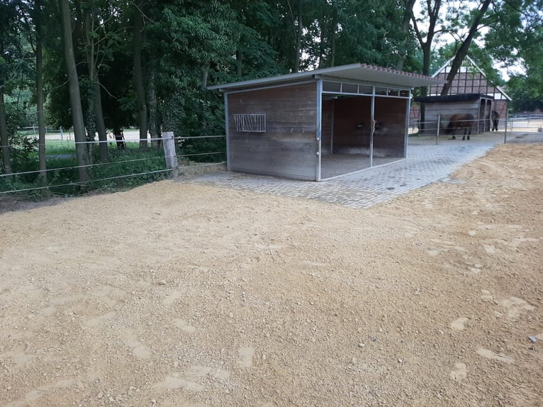 Offenstallplätze für Pferde frei, Belm bei Osnabrück