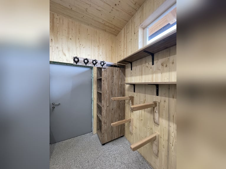 Offenstallplätze für Wallache frei 