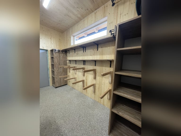 Offenstallplätze für Wallache frei 