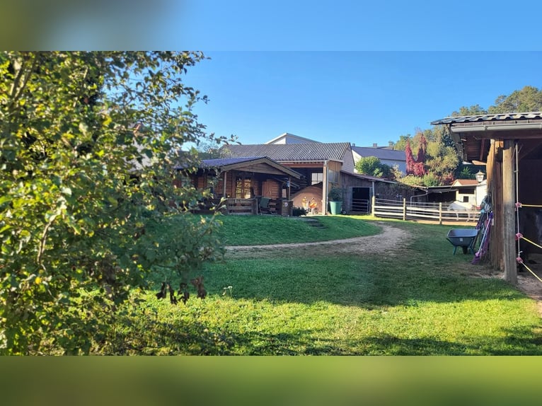 Offenstallplatz in 91187