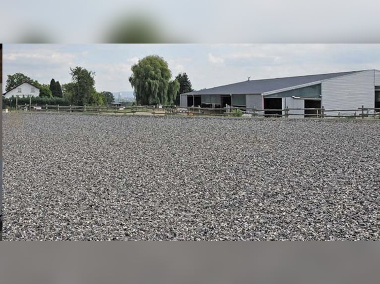 Wolne miejsca w wolnym boksie