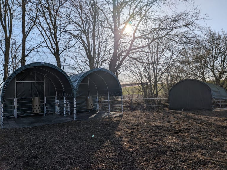 Wolne miejsce dla stajennego – boks otwarty – poszukiwany stajenny – dla każdego konia