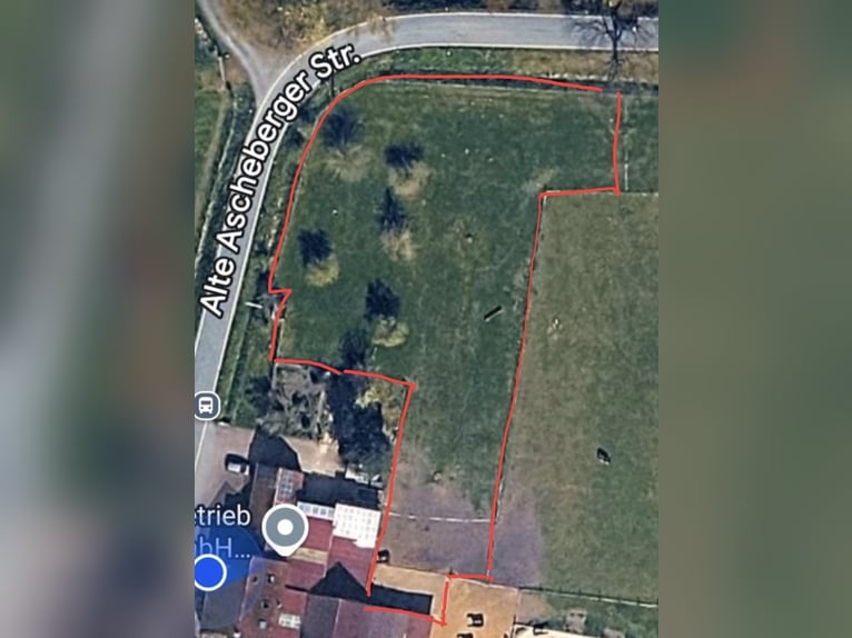 Wolnostanowisko dla 2 koni do wynajęcia w Nordkirchen, 59394