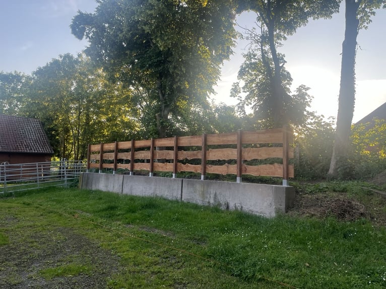 Wolnostanowisko z małym wybiegiem typu paddock trail