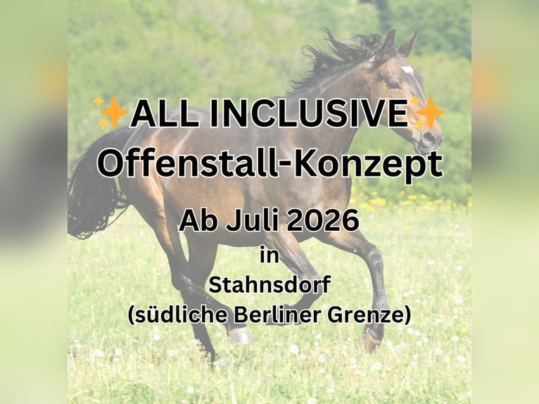 ✨Wszystko w cenie✨ Miejsce w padoku dostępne od lipca 2026 roku