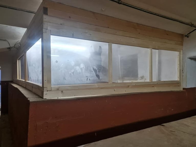 Atme tief durch! Unser Lungenerholungs- & Aufbaumonat