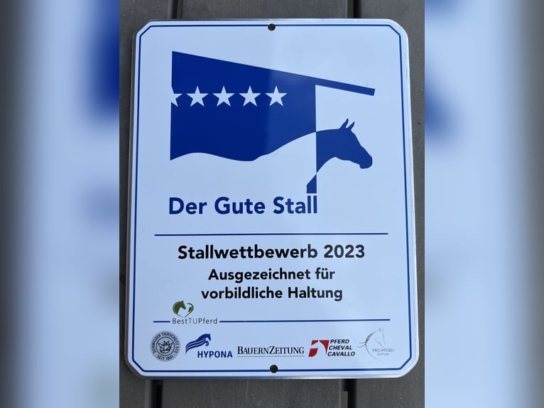 Auslaufboxen frei