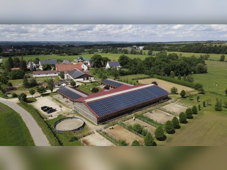 Dostępne boksy paddockowe z pełną opieką na spokojnym terenie