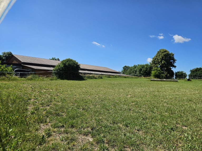 Dostępne boksy w 88518