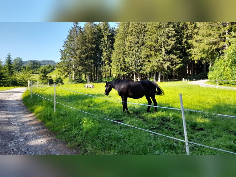 Einstellplatz in wunderschöner Lage