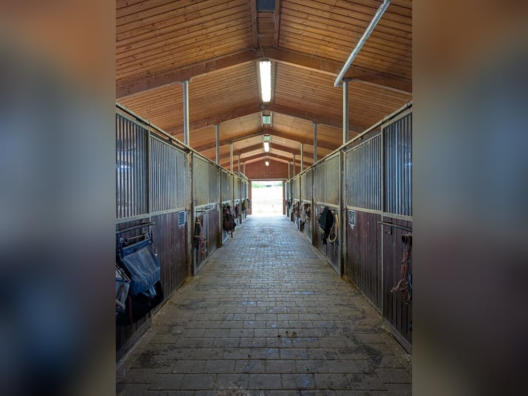 Freie Boxen  in Neu-Ulm Ludwigsfeld