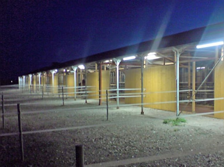 Paddock-/Laufbox