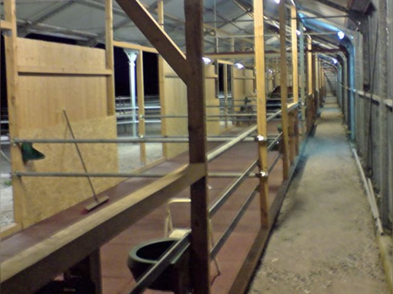 Paddock-/Laufbox