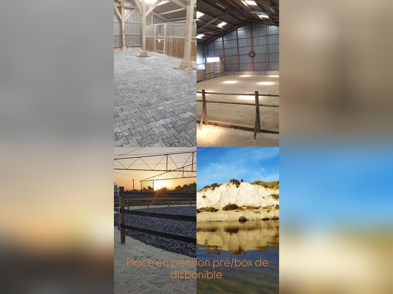 Pension à 500m de la plage