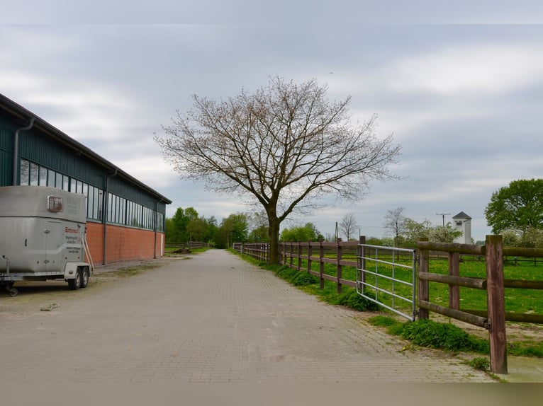 Prywatna stajnia w regionie Münsterland.