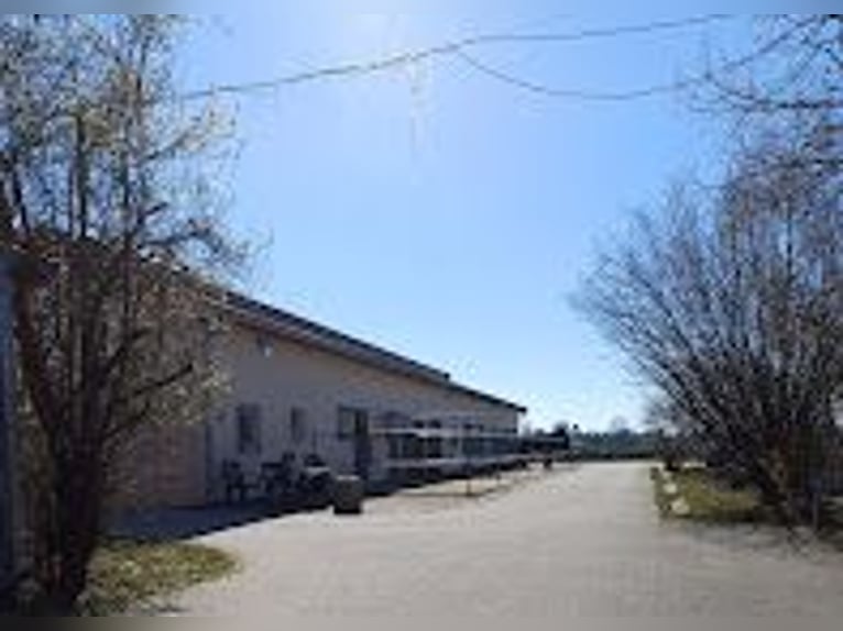 Stajnie w systemie pełnej opieki na padoku