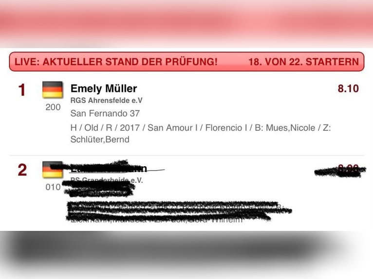 Oldenbourg Hongre 8 Ans 175 cm Noir in Ahrensburg