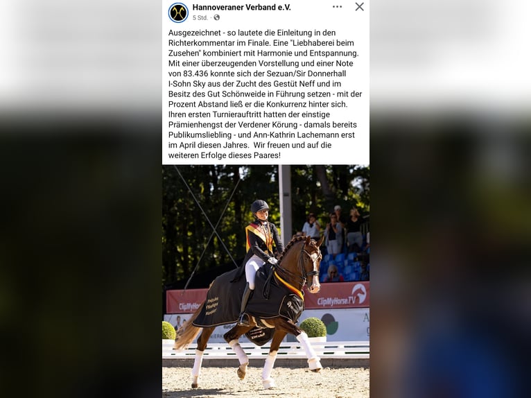 Oldenbourg Jument 11 Ans 172 cm Palomino in Wolfsbach