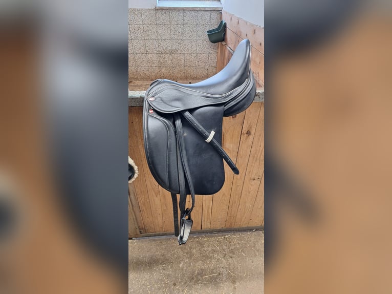 Oldenburg Mix Gelding 7 years 17 hh Smoky-Black in Koppl