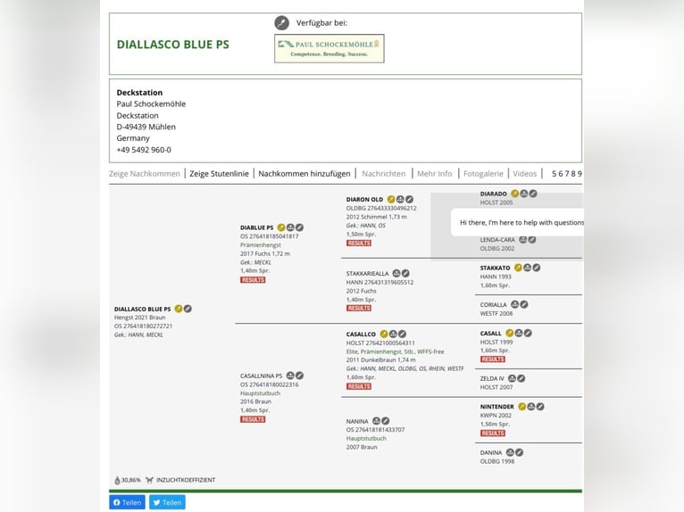 Oldenburg-International (OS) Mare Foal (02/2026) Bay-Dark in Morbach