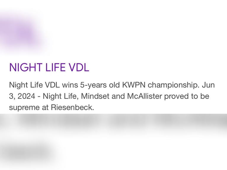Oldenburg Stallone 2 Anni Baio in Fuendetodos