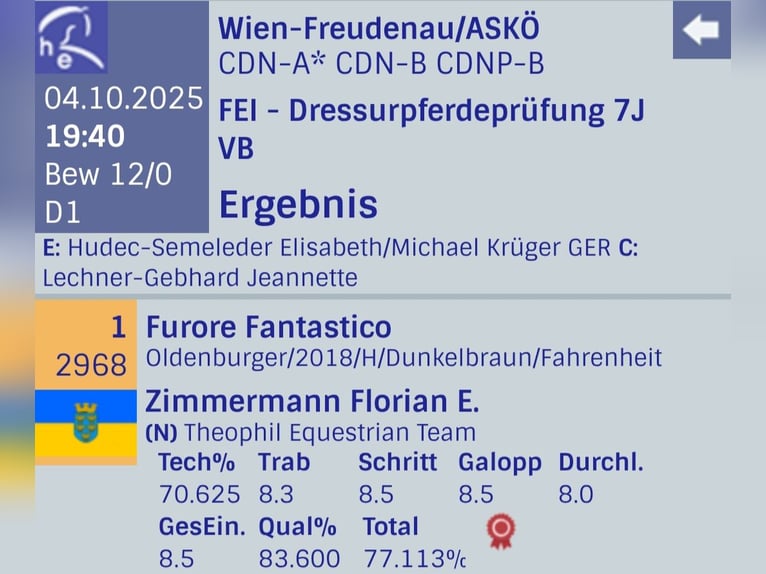 Oldenburger Hengst 8 Jahre 174 cm Brauner in Ritzing
