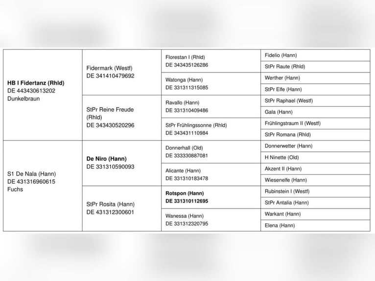 Oldenburger Merrie 3 Jaar 167 cm Vos in Westerstede