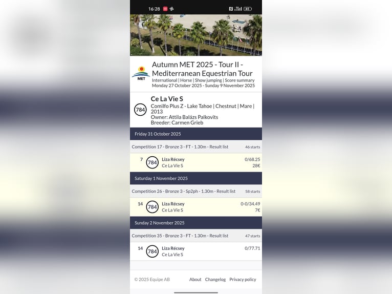 Oldenburger Springpferd Stute 12 Jahre 164 cm Dunkelfuchs in Zalaszentgyorgy