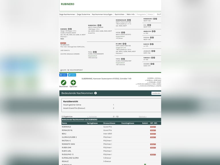Oldenburger Stute 11 Jahre 168 cm Schimmel in Wolfsbach
