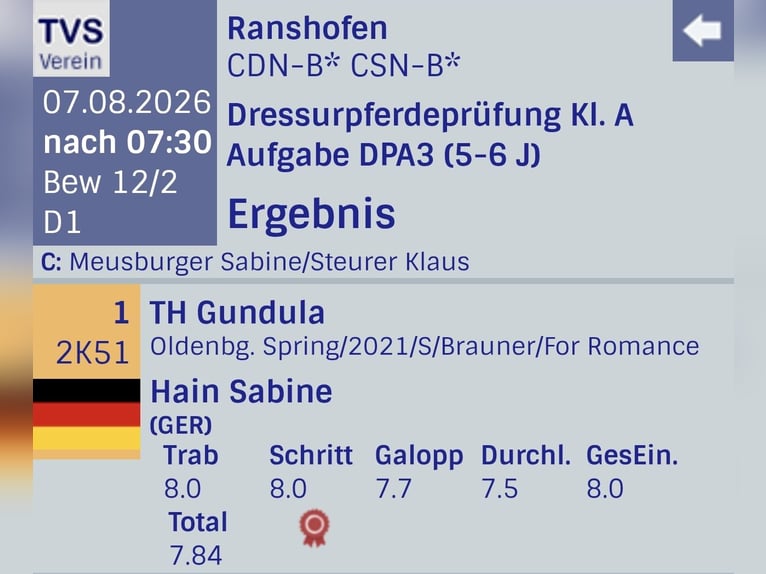 Oldenburger Stute 5 Jahre 163 cm Dunkelbrauner in Sankt Wolfgang