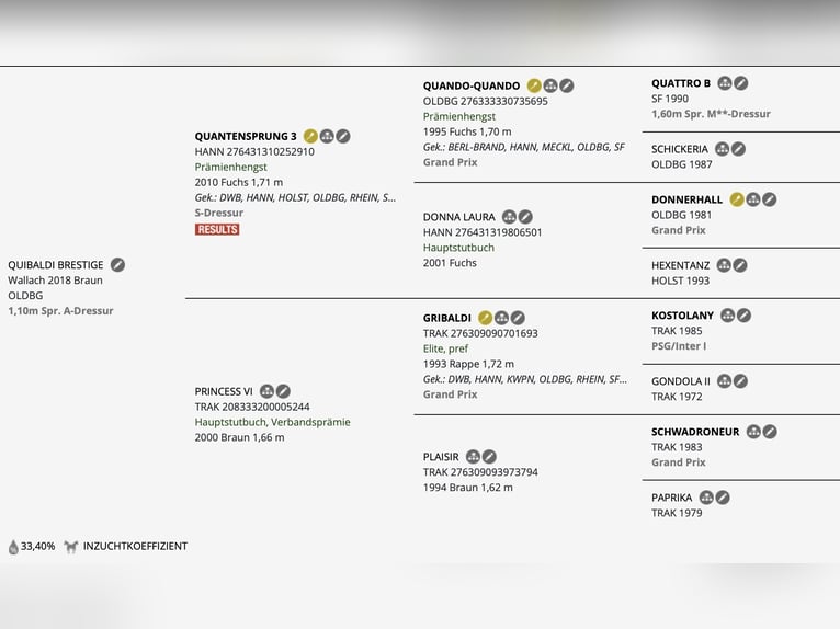 Oldenburgo Caballo castrado 8 años 168 cm Castaño in Brest