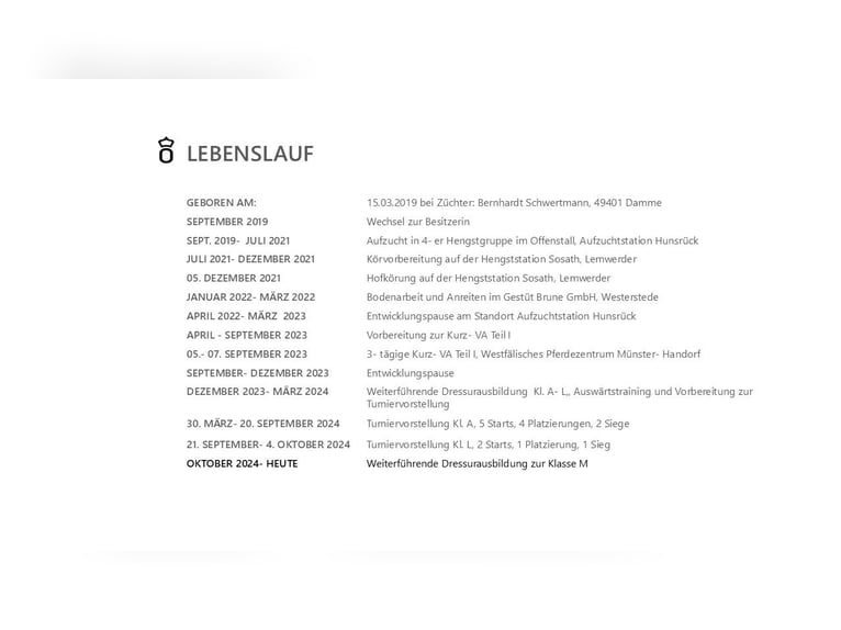 Oldenburgo Semental 6 años 174 cm Negro in Dreieich