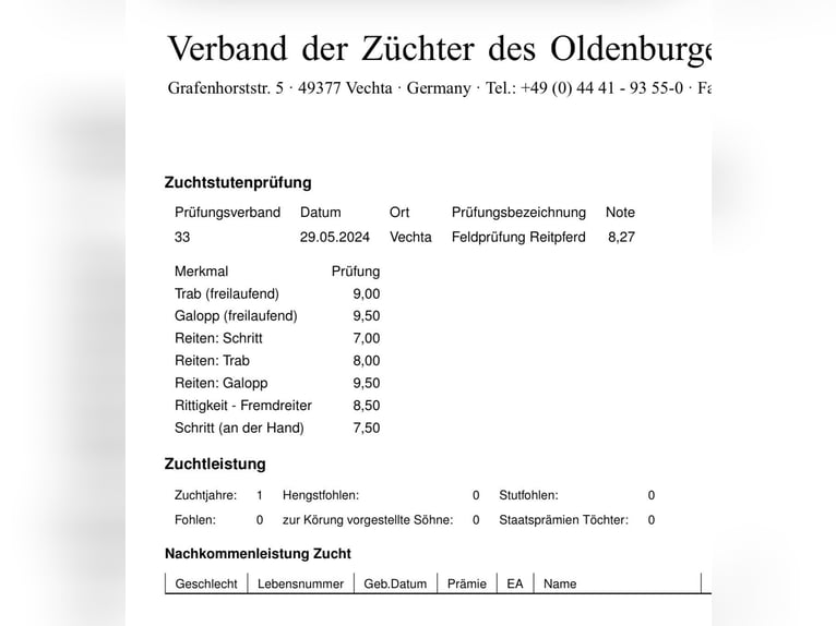 Oldenburgo Yegua 3 años 168 cm Negro in Wehringen