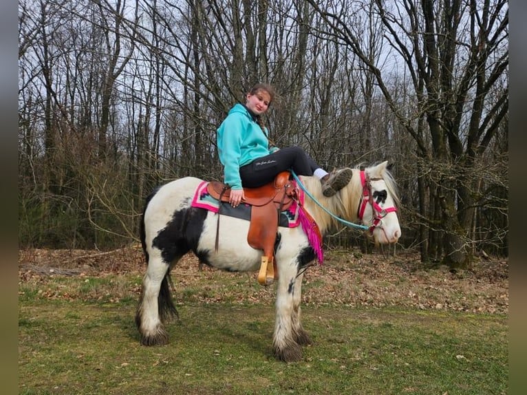 Other Breeds Gelding 5 years 13.1 hh Pinto in Linkenbach