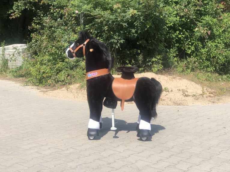 Other Breeds Gelding 9 years 6,3 hh Black in Mainbernheim