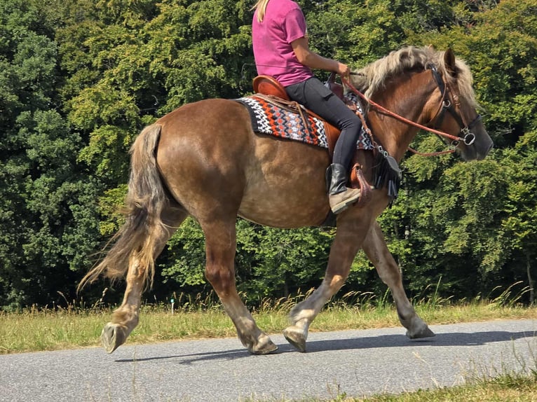 Other Breeds Mare 4 years 15,1 hh Chestnut in Linkenbach