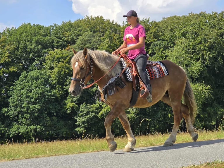 Other Breeds Mare 4 years 15,1 hh Chestnut in Linkenbach