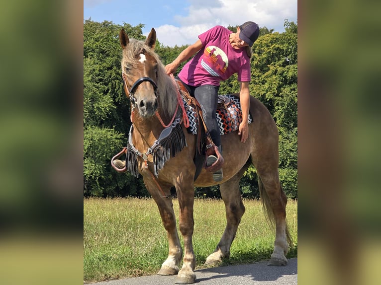 Other Breeds Mare 4 years 15,1 hh Chestnut in Linkenbach