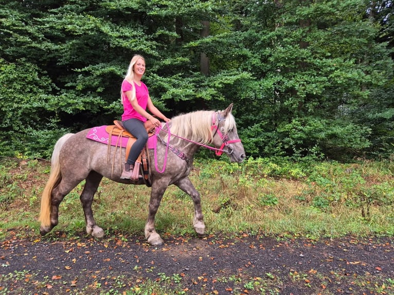 Other Breeds Mare 5 years 15.1 hh Chestnut in Linkenbach
