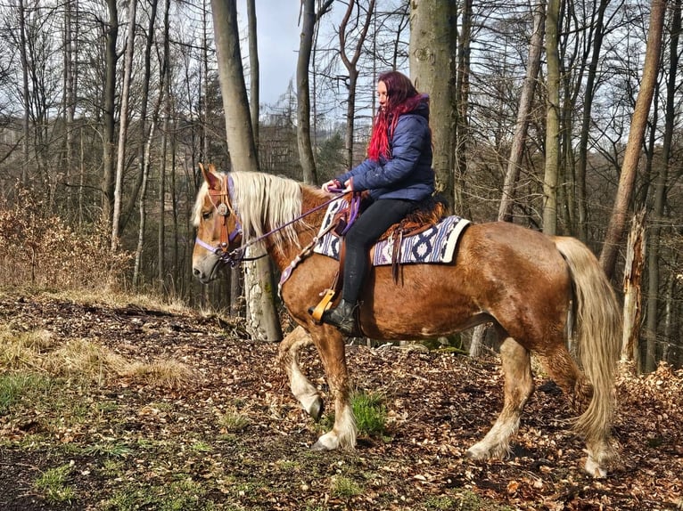 Other Breeds Mare 5 years 15,1 hh Chestnut-Red in Linkenbach